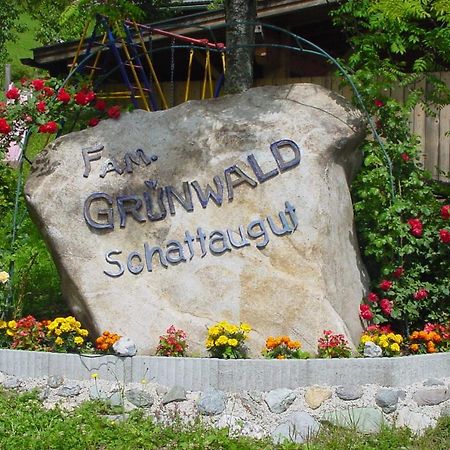 Schattaugut Eben Im Pongau Exteriör bild