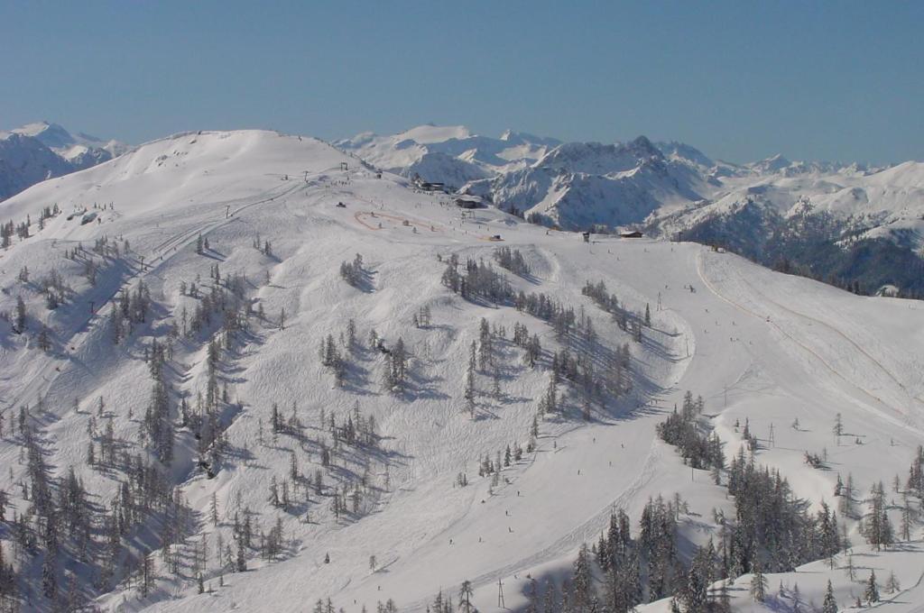 Schattaugut Eben Im Pongau Exteriör bild