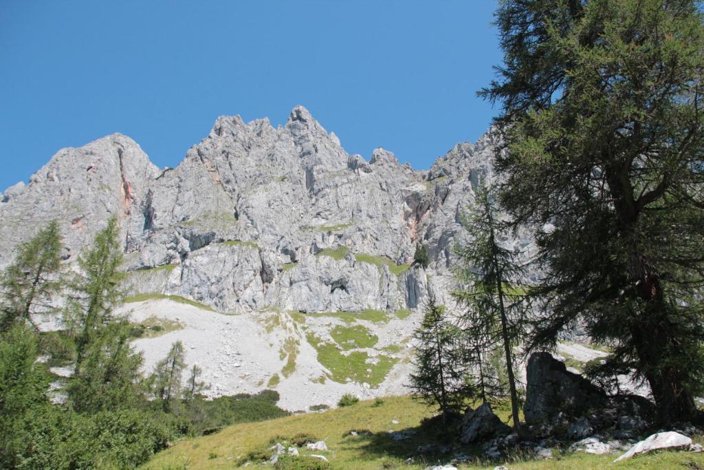 Schattaugut Eben Im Pongau Exteriör bild